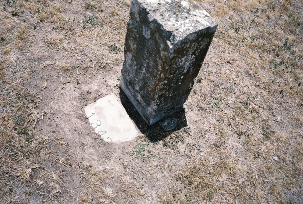Tombstones in the ASH Cemetery are rare.  Most of the nearly 3,000 people buried there only have ID numbers marking their graves.
